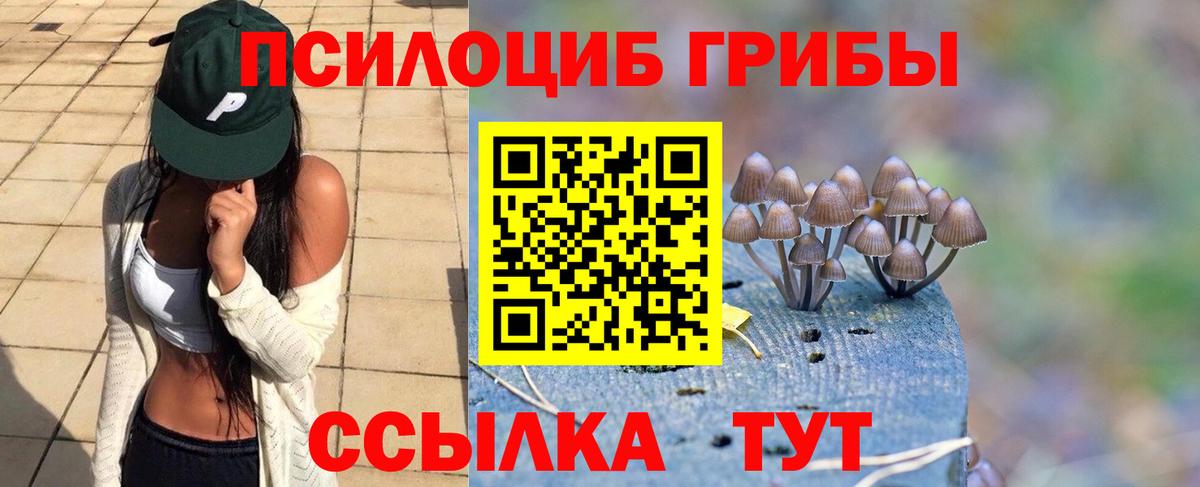 Галлюциногенные грибы Psilocybe Озёрск